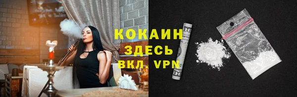 дживик Арсеньев