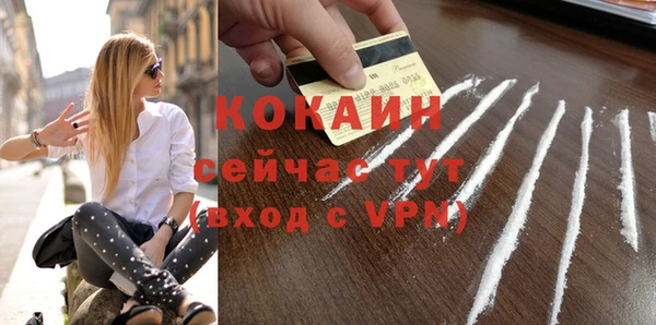 дживик Арсеньев