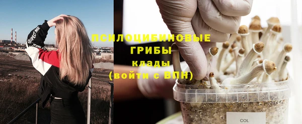 mix Аркадак