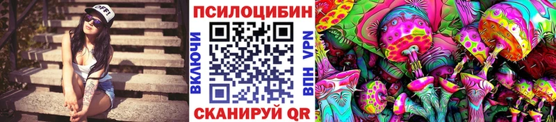 MEGA онион  Сегежа  Псилоцибиновые грибы мицелий 
